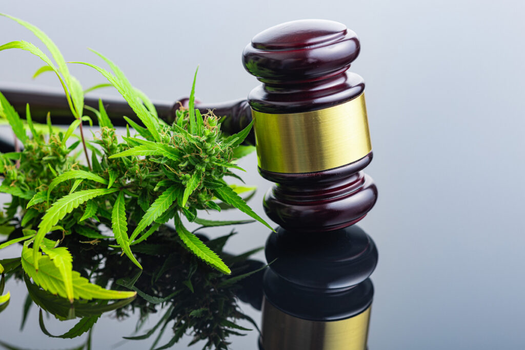 SCOTUS Ruling Opens Door to RICO Lawsuits