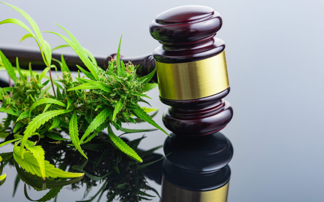 SCOTUS Ruling Opens Door to RICO Lawsuits