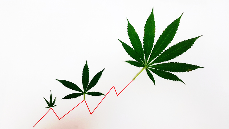 Cannabis Excise Tax Rollback Measure Progresses