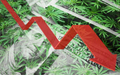 Sales Slide as Buyers Shift to Lower-Cost Products