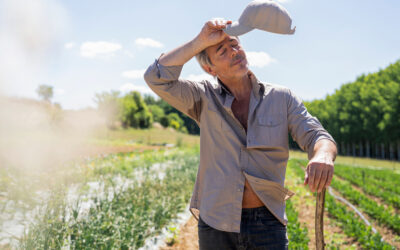 Cal/OSHA Making Changes to Heat Illness Rules