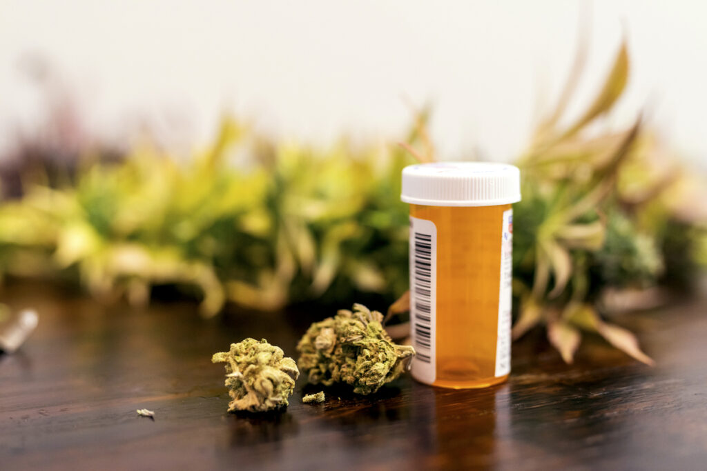 States Mull Different Tacks on Cannabis Coverage