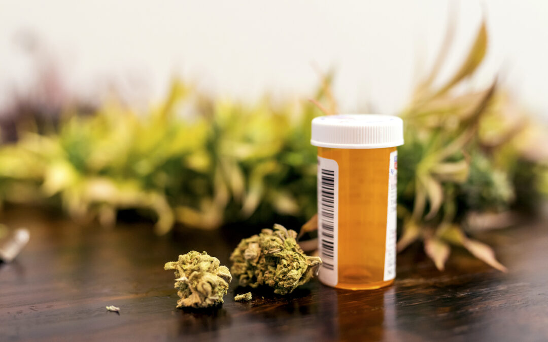 States Mull Different Tacks on Cannabis Coverage