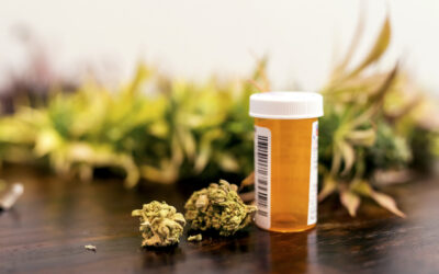 States Mull Different Tacks on Cannabis Coverage