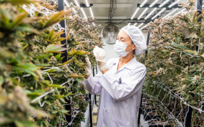 Three Risks That Make Underwriting Challenging