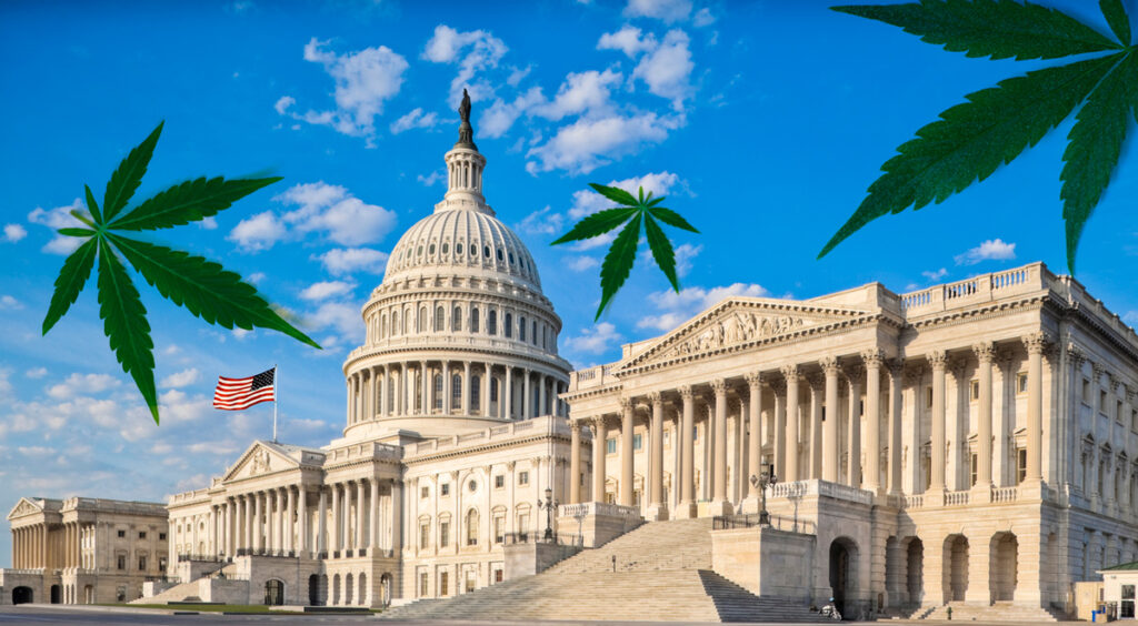 New Law Recriminalizes Hemp-Derived THC Products