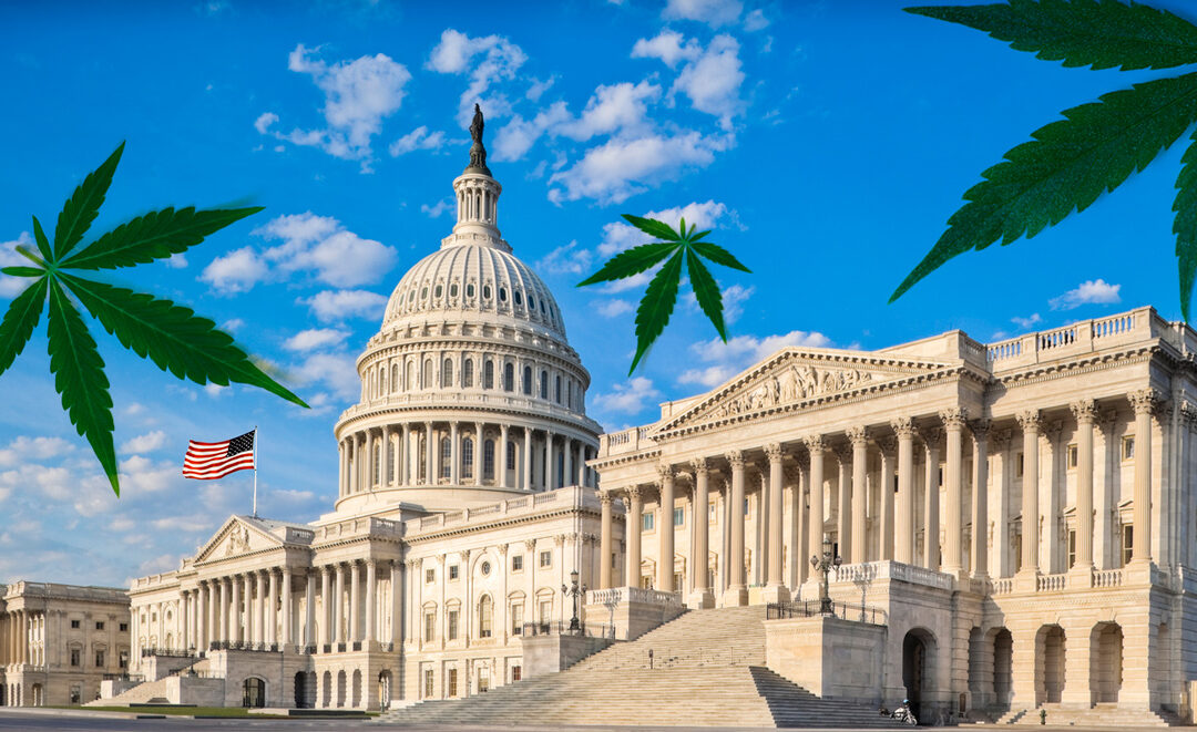 New Law Recriminalizes Hemp-Derived THC Products