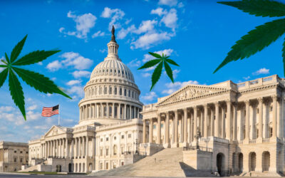 New Law Recriminalizes Hemp-Derived THC Products