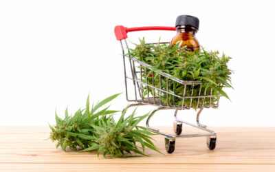 Google Runs Canadian Ad Pilot Program: Is