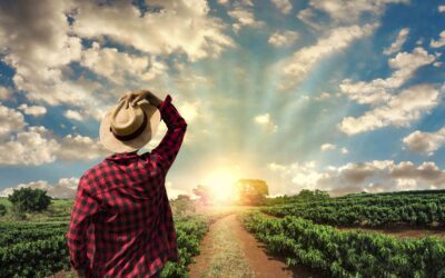 OSHA Expands Targeted Heat Illness Enforcement Program