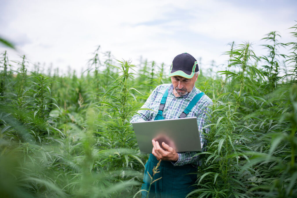 Six Technologies Reshaping Cannabis Cultivation