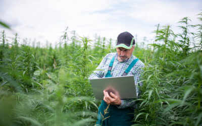 Six Technologies Reshaping Cannabis Cultivation