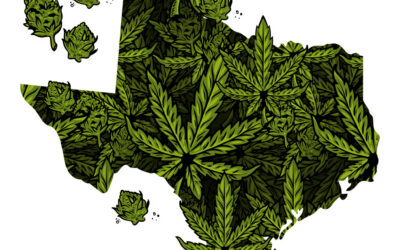 Texas Hemp Industry Scores Temporary Court Win