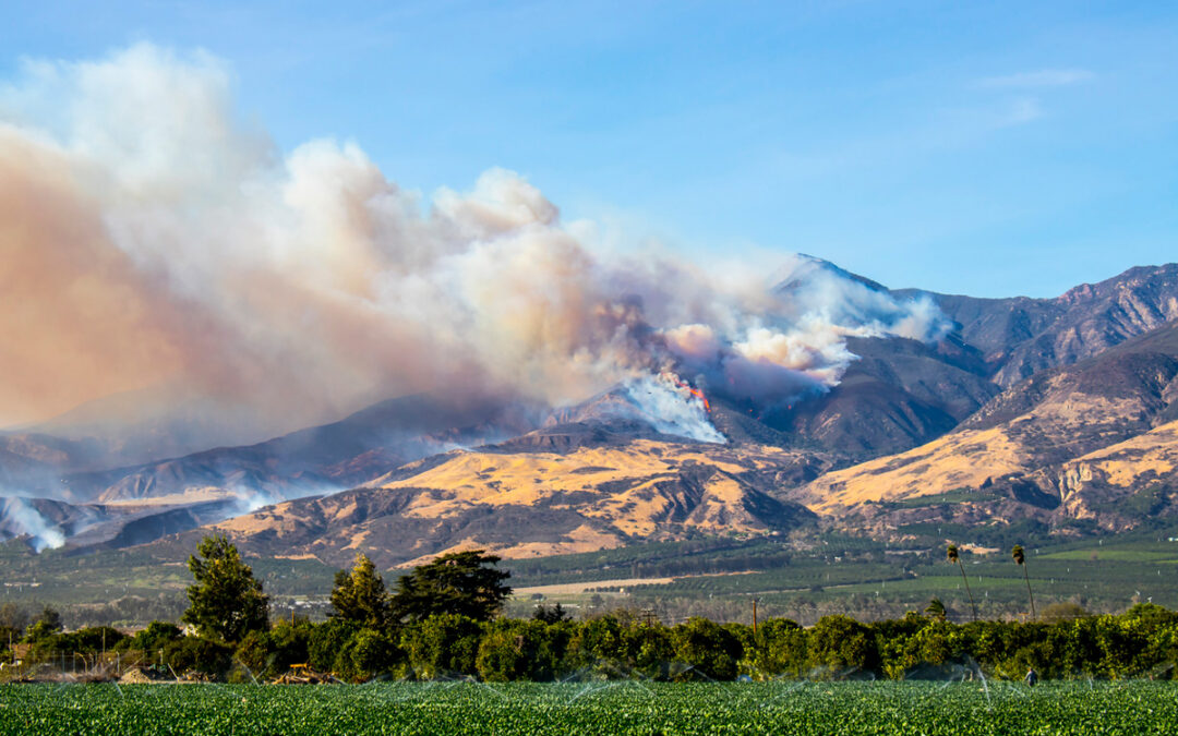 As Wildfire Risk Grows, Protect Workers from Smoke