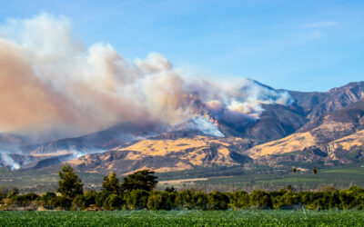 As Wildfire Risk Grows, Protect Workers from Smoke